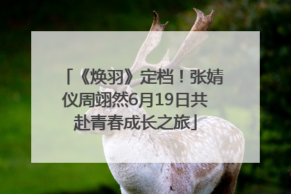 《焕羽》定档！张婧仪周翊然6月19日共赴青春成长之旅