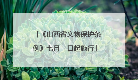 《山西省文物保护条例》七月一日起施行