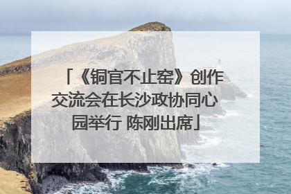 《铜官不止窑》创作交流会在长沙政协同心园举行 陈刚出席