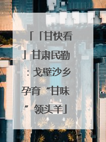「甘快看」甘肃民勤：戈壁沙乡孕育“甘味”领头羊