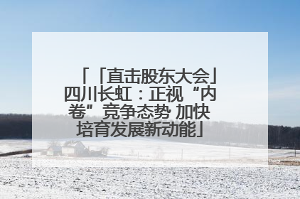 「直击股东大会」四川长虹：正视“内卷”竞争态势 加快培育发展新动能