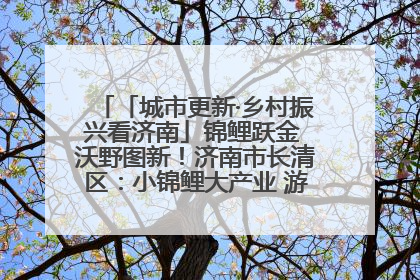 「城市更新·乡村振兴看济南」锦鲤跃金 沃野图新！济南市长清区：小锦鲤大产业 游出农旅新风景