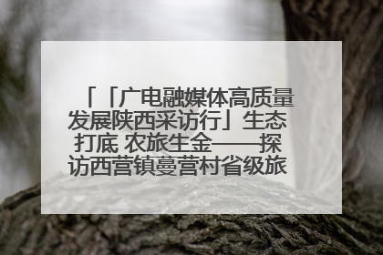 「广电融媒体高质量发展陕西采访行」生态打底 农旅生金——探访西营镇蔓营村省级旅游示范村的振兴密码