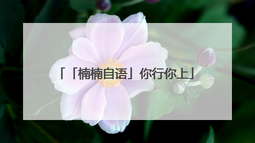 「楠楠自语」你行你上