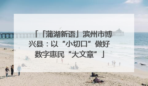 「蒲湖新语」滨州市博兴县：以“小切口”做好数字惠民“大文章”