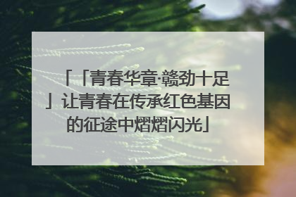 「青春华章·赣劲十足」让青春在传承红色基因的征途中熠熠闪光