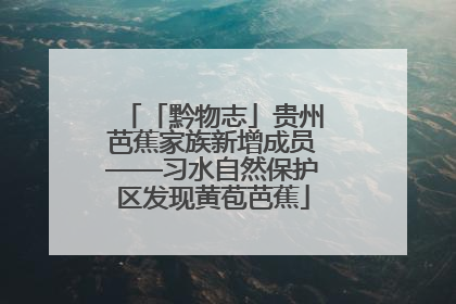「黔物志」贵州芭蕉家族新增成员——习水自然保护区发现黄苞芭蕉