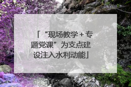 “现场教学＋专题党课”为支点建设注入水利动能