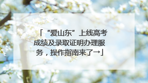 “爱山东”上线高考成绩及录取证明办理服务，操作指南来了→