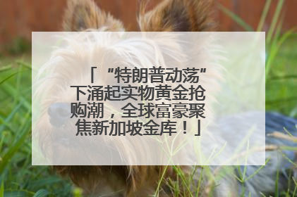 “特朗普动荡”下涌起实物黄金抢购潮，全球富豪聚焦新加坡金库！