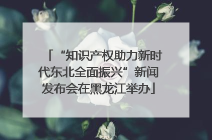 “知识产权助力新时代东北全面振兴”新闻发布会在黑龙江举办