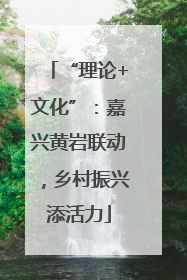 “理论+文化”：嘉兴黄岩联动，乡村振兴添活力