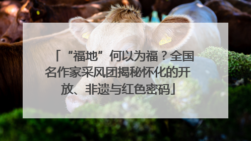 “福地”何以为福？全国名作家采风团揭秘怀化的开放、非遗与红色密码