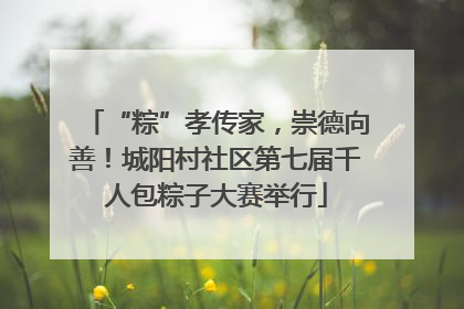 “粽”孝传家，崇德向善！城阳村社区第七届千人包粽子大赛举行