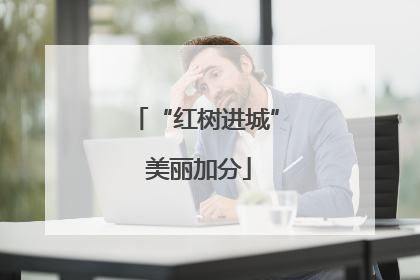 “红树进城” 美丽加分