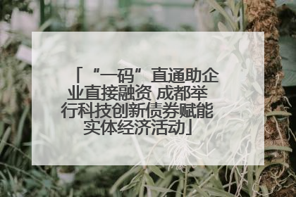 “一码”直通助企业直接融资 成都举行科技创新债券赋能实体经济活动