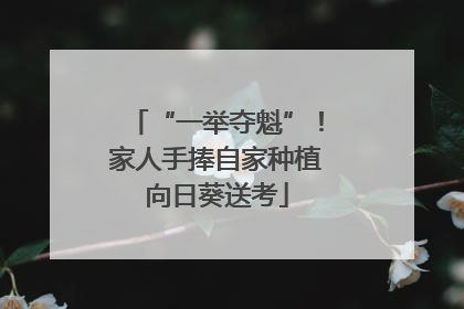 “一举夺魁”！家人手捧自家种植向日葵送考