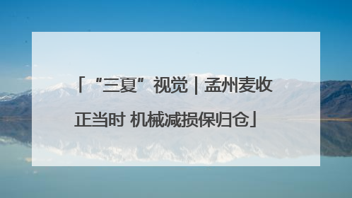 “三夏”视觉｜孟州麦收正当时 机械减损保归仓