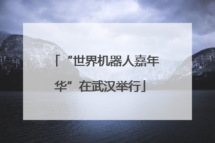 “世界机器人嘉年华”在武汉举行
