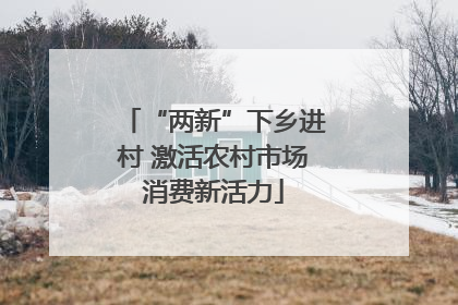 “两新”下乡进村 激活农村市场消费新活力