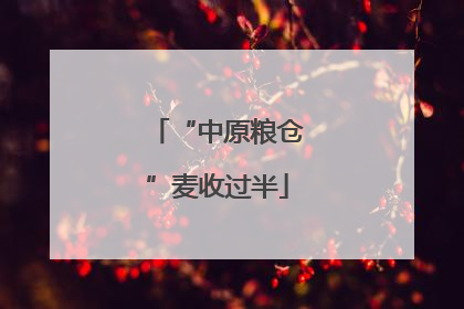 “中原粮仓”麦收过半