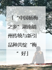 “中国杨梅之乡”湖南靖州传统与新引品种共绽“梅”好