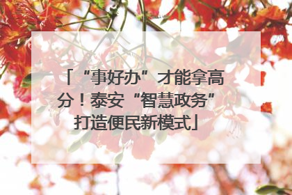 “事好办”才能拿高分！泰安“智慧政务”打造便民新模式
