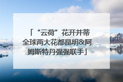 “云荷”花开并蒂 全球两大花都昆明&阿姆斯特丹强强联手