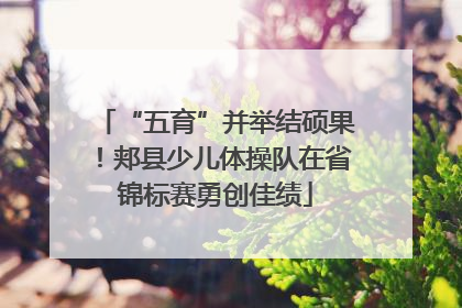 “五育”并举结硕果！郏县少儿体操队在省锦标赛勇创佳绩