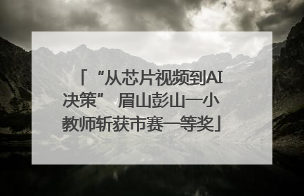 “从芯片视频到AI决策” 眉山彭山一小教师斩获市赛一等奖