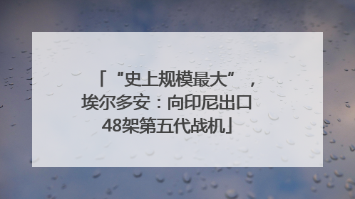 “史上规模最大”，埃尔多安：向印尼出口48架第五代战机