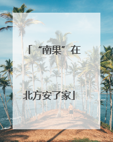 “南果”在北方安了家