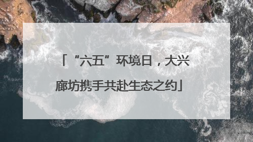 “六五”环境日，大兴廊坊携手共赴生态之约