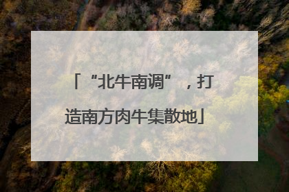 “北牛南调”，打造南方肉牛集散地