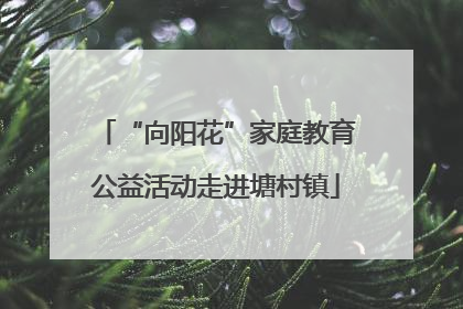 “向阳花”家庭教育公益活动走进塘村镇