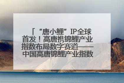 “唐小鲤”IP全球首发！高唐携锦鲤产业指数布局数字赛道——中国高唐锦鲤产业指数暨“唐小鲤”IP全球首发仪式在杭州举行