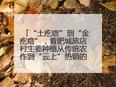 “土疙瘩”到“金疙瘩”，看肥城旅店村生姜种植从传统农作到“云上”热销的蝶变之路