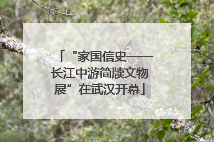 “家国信史——长江中游简牍文物展”在武汉开幕