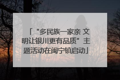 “多民族一家亲 文明让银川更有品质”主题活动在闽宁镇启动