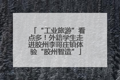 “工业旅游”看点多！外籍学生走进胶州李哥庄镇体验“胶州智造”