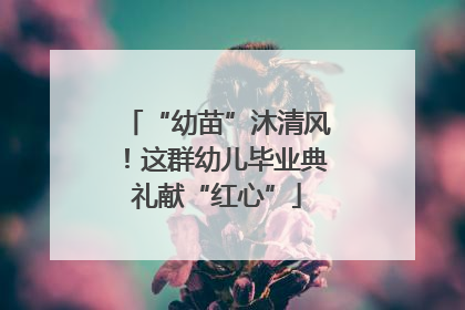 “幼苗”沐清风！这群幼儿毕业典礼献“红心”