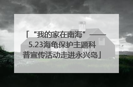 “我的家在南海”——5.23海龟保护主题科普宣传活动走进永兴岛