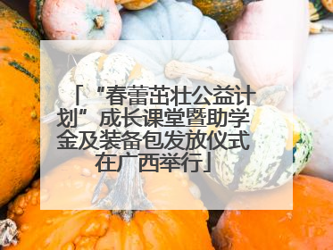 “春蕾茁壮公益计划”成长课堂暨助学金及装备包发放仪式在广西举行