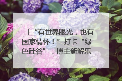 “有世界眼光，也有国家情怀！”打卡“绿色硅谷”，博主新解乐山｜网络名人四川行