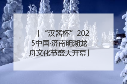 “汉酱杯”2025中国·济南明湖龙舟文化节盛大开幕