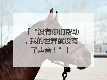 “没有你们帮助，我的世界就没有了声音！”
