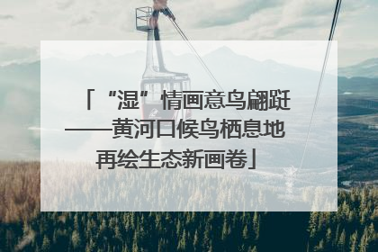 “湿”情画意鸟翩跹——黄河口候鸟栖息地再绘生态新画卷