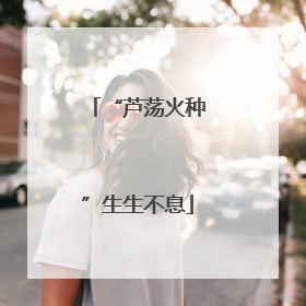 “芦荡火种”生生不息
