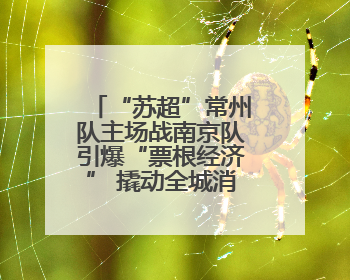 “苏超”常州队主场战南京队引爆“票根经济” 撬动全城消费狂欢