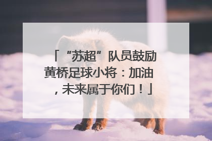 “苏超”队员鼓励黄桥足球小将：加油，未来属于你们！